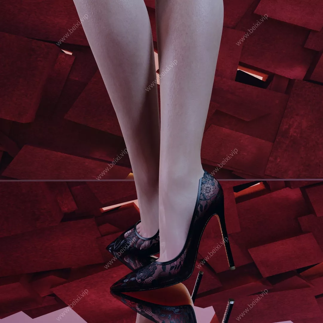 LACE_Classic_High_Heel