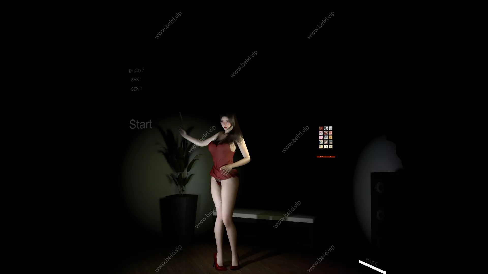 Folding_Fan_Display_Sex