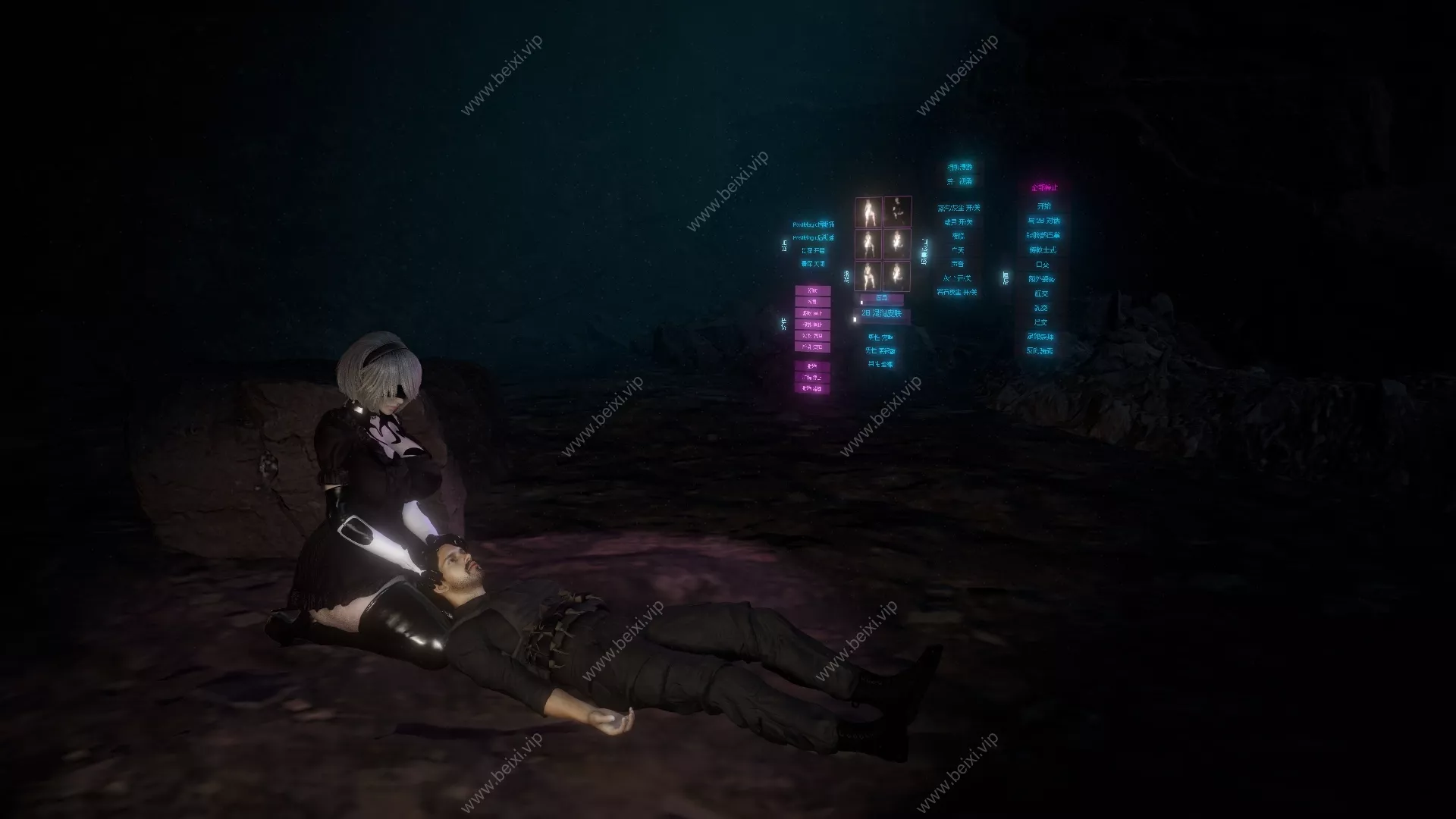 汉化版2B_Physical_Capability_Assessment_Protocol_2&2B_体能评估